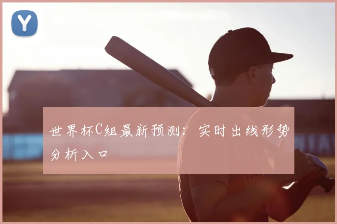 世界杯C组最新预测:实时出线形势分析入口