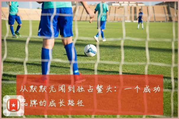 从默默无闻到独占鳌头：一个成功品牌的成长路径